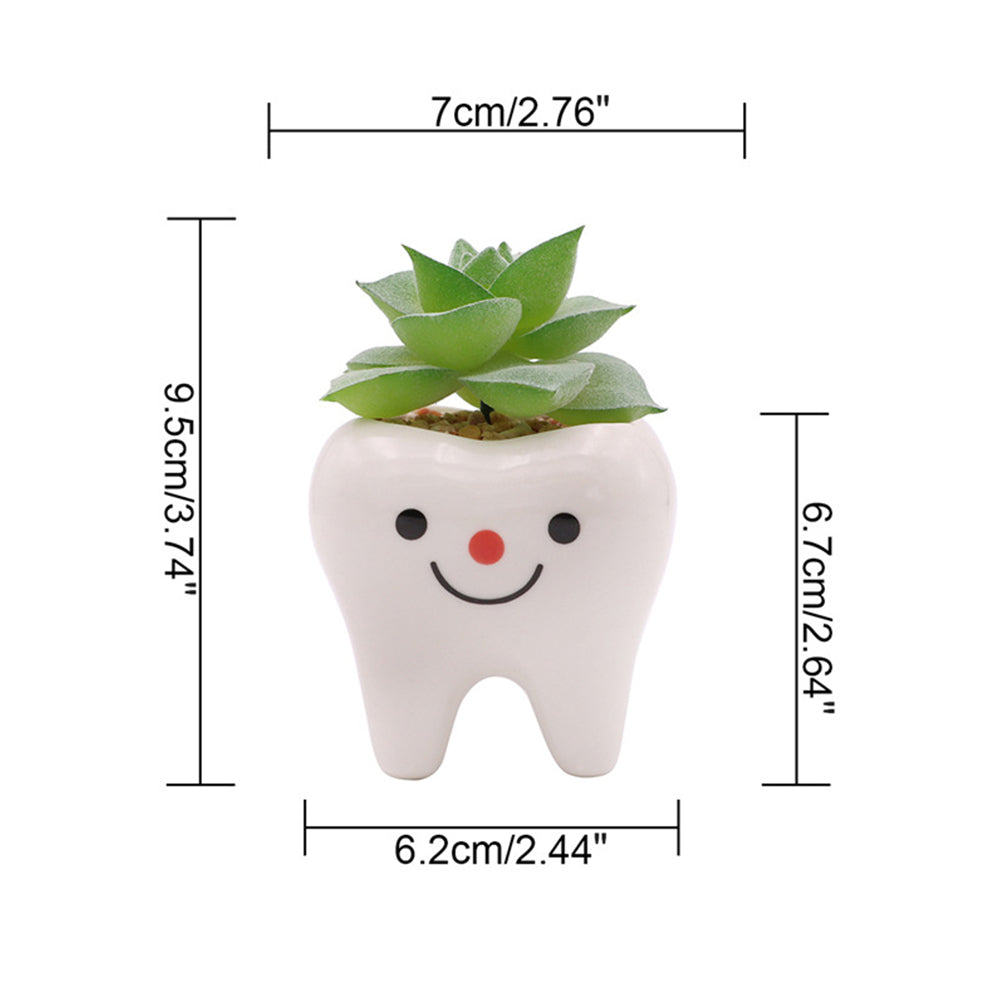 Charming Ceramic Tooth-Shaped Planter for Succulents and Cacti