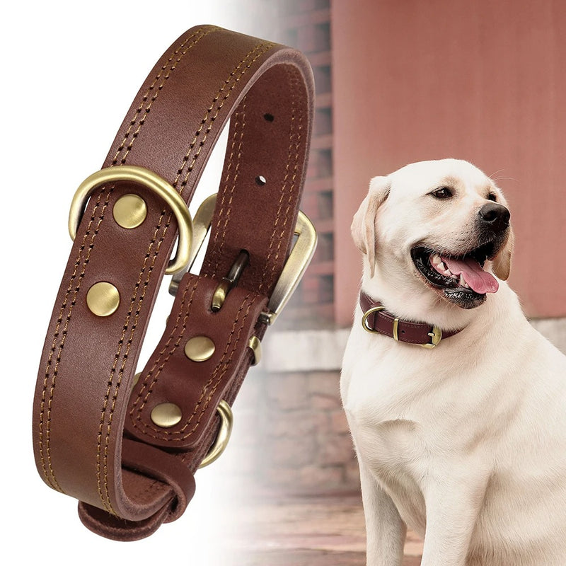 genuine leather dog collar - MRSLM