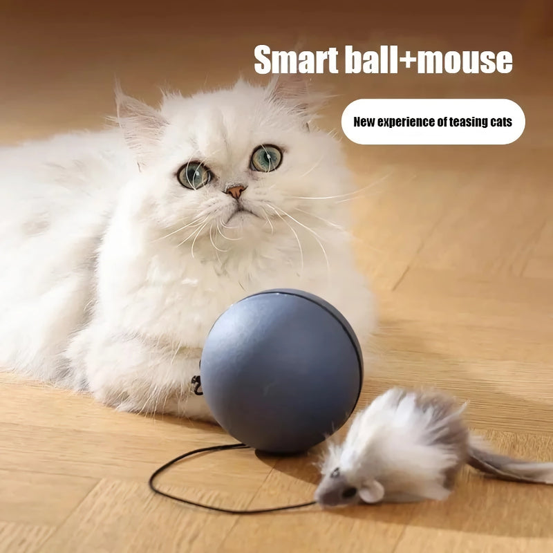 automatic cat toy set, view 4 - MRSLM