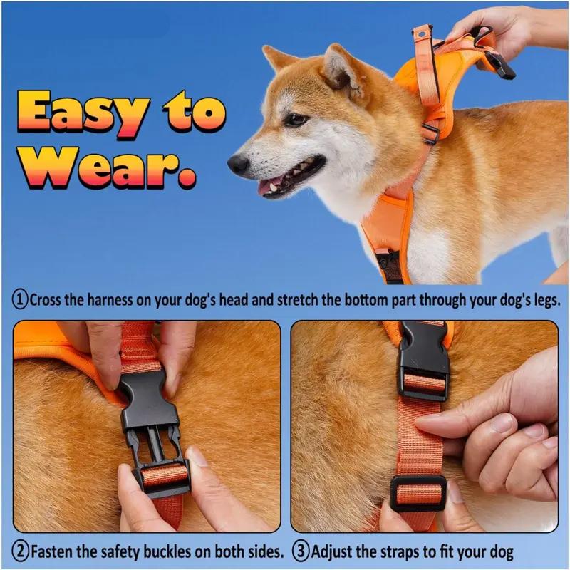 dog harness and retractable leash set, view 7 - MRSLM