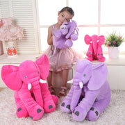 db81f9c9e308a8ef8af78e9a402a7fc5