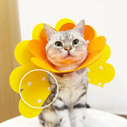 flower pet collar, view 7 - MRSLM