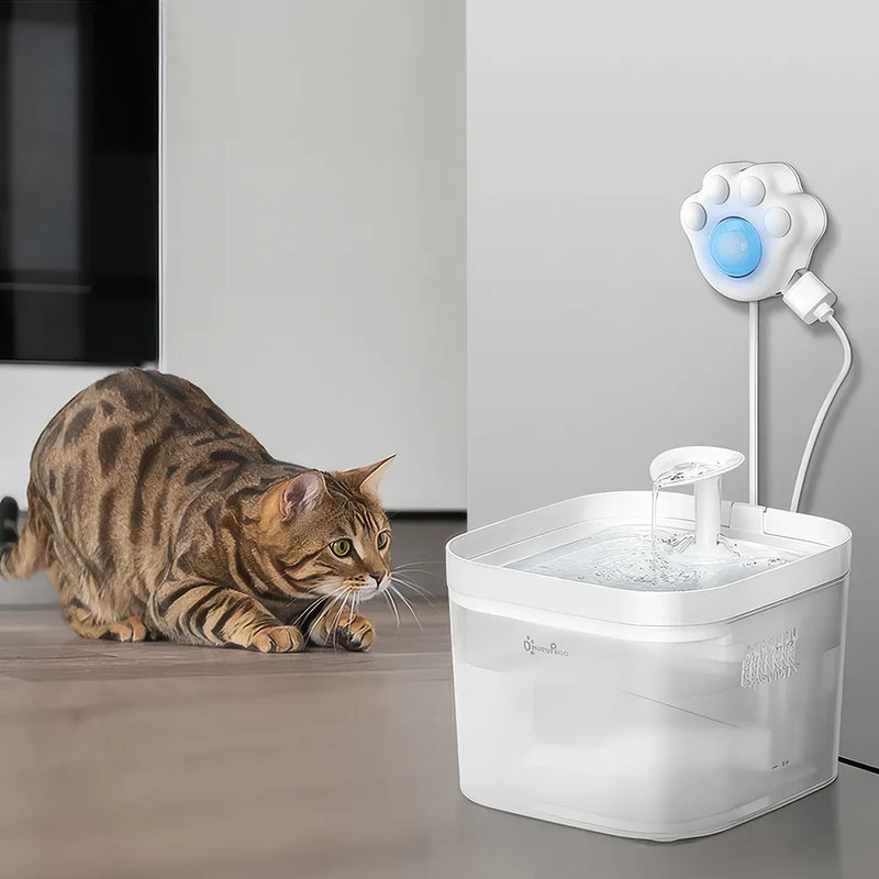 Smart motion sensor for automatic pet fountain, view 3 - MRSLM