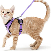 cat harness and leash, view 5 - MRSLM
