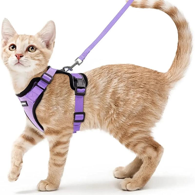 cat harness and leash, view 5 - MRSLM