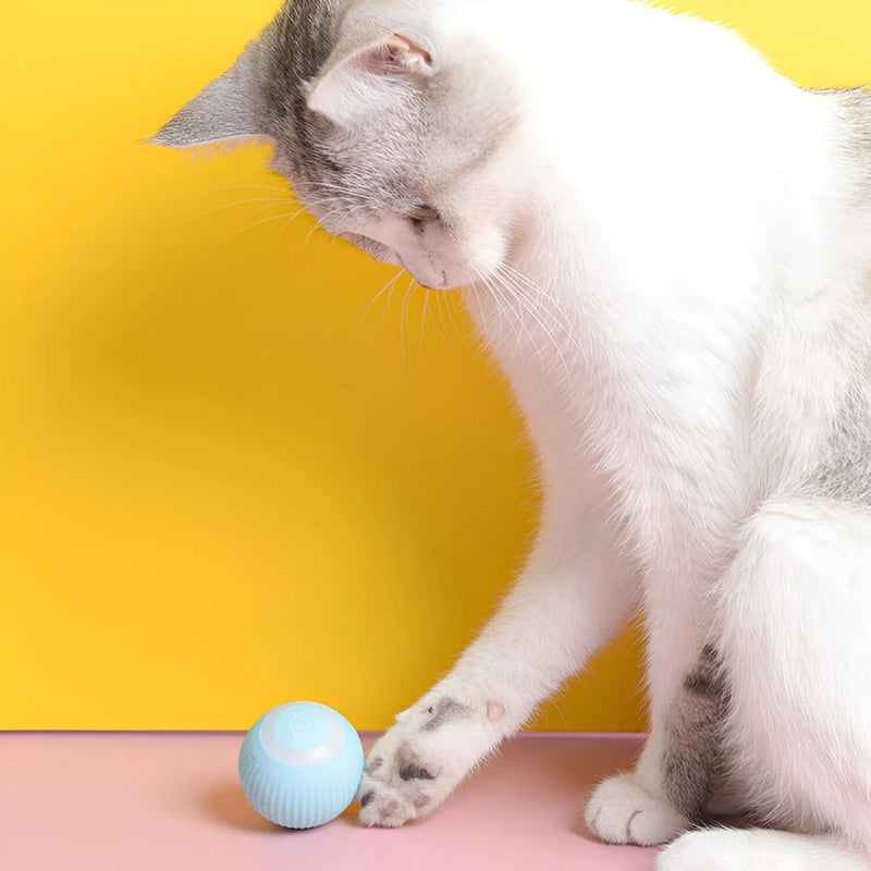 automatic rolling ball toy, view 7 - MRSLM