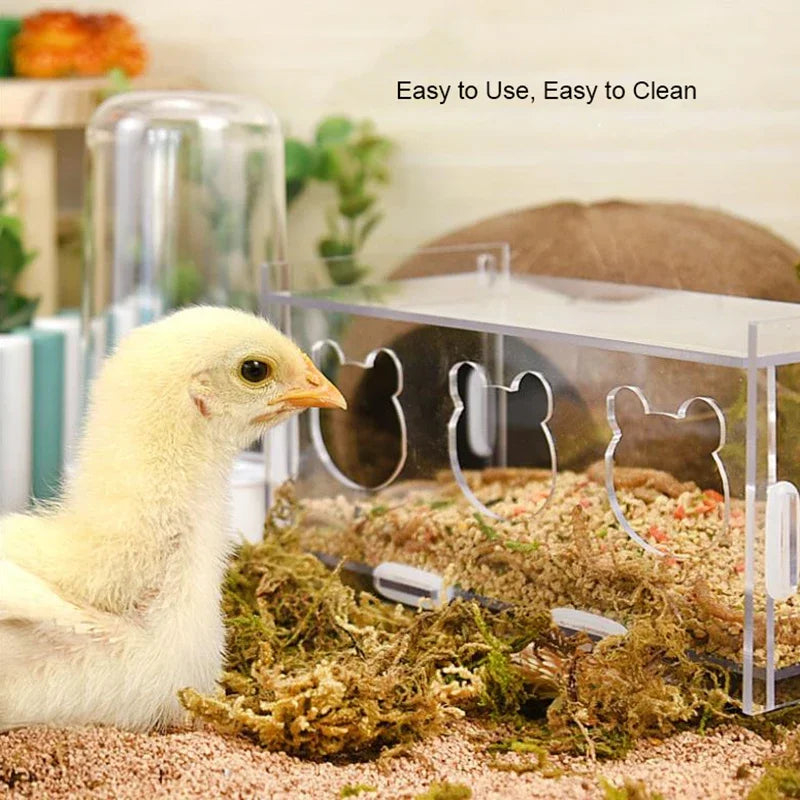 acrylic bird feeder with cuttlebone holder, view 7 - MRSLM