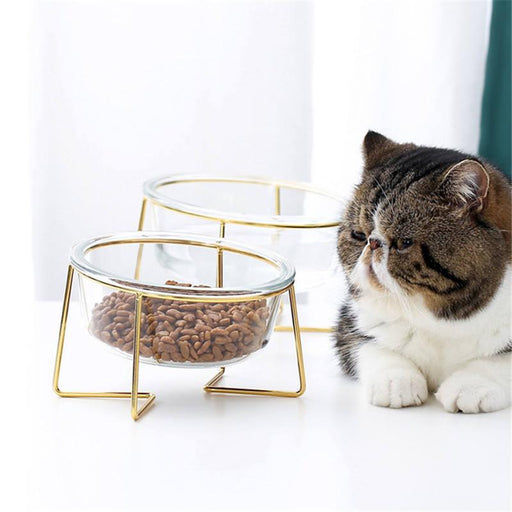 glass cat and dog bowl with gold stand - MRSLM