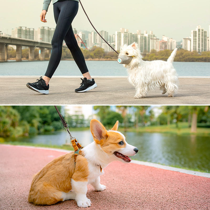genuine leather dog leash, view 7 - MRSLM