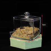 acrylic bird feeder with cuttlebone holder, view 2 - MRSLM