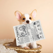 newspaper dog chew toy, view 4 - MRSLM