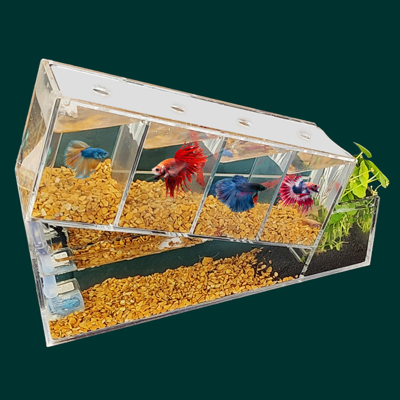 acrylic betta fish tank, view 5 - MRSLM