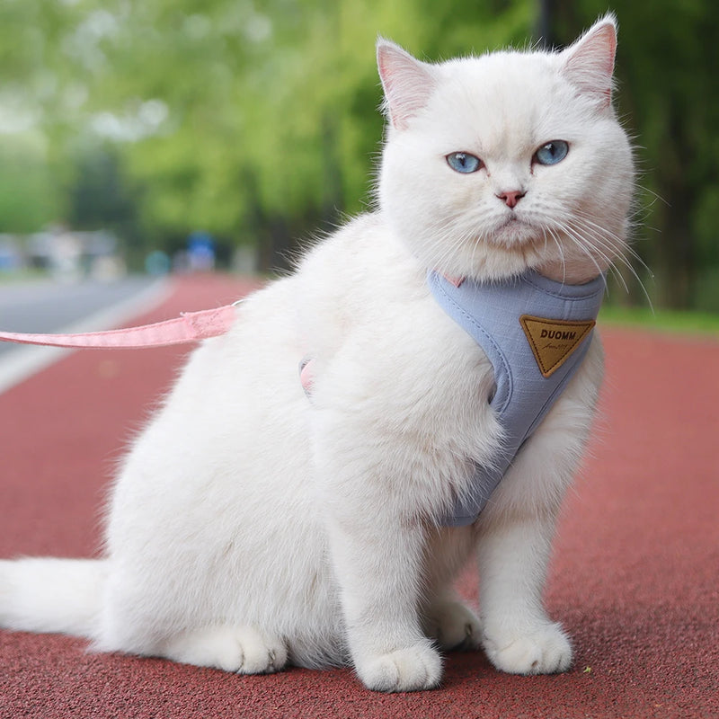 soft mesh cat and dog vest harness with leash, view 9 - MRSLM
