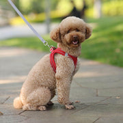 mesh harness and leash set - MRSLM