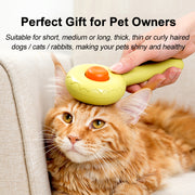 hamburger cat brush comb, view 19 - MRSLM