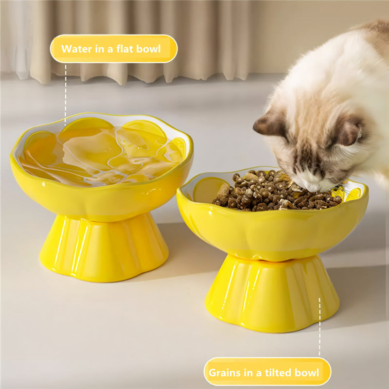 raised ceramic pet bowl, view 6 - MRSLM