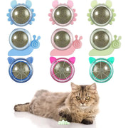 catnip wall ball toy for cats - MRSLM
