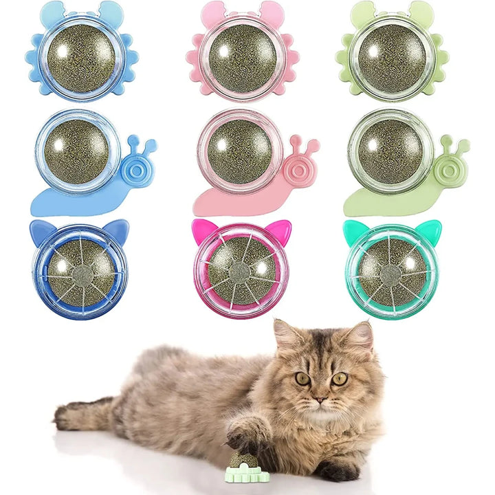 Catnip Wall Ball Toy for Cats