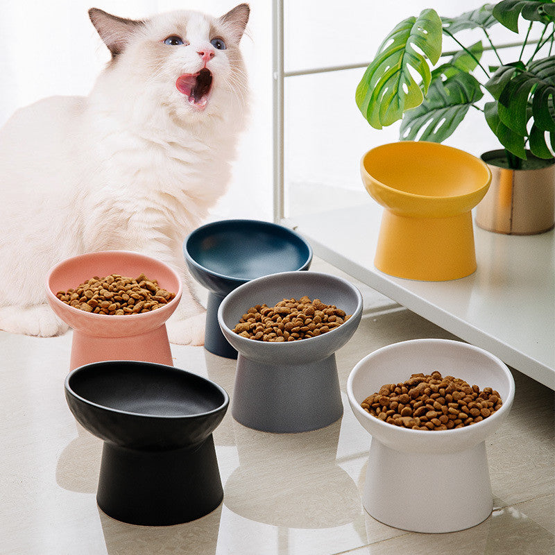 elevated ceramic pet bowl, view 8 - MRSLM