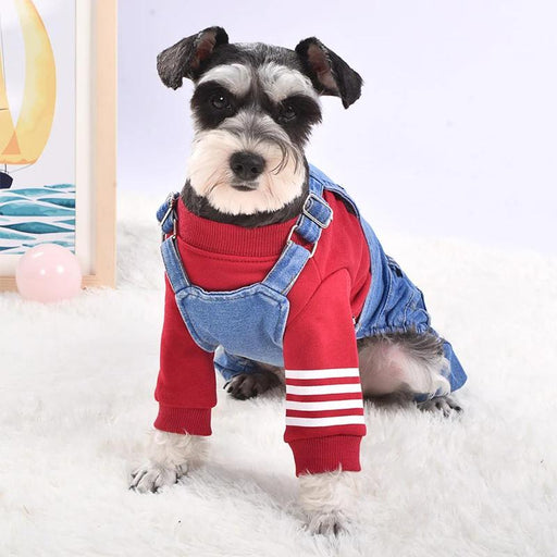 denim dog jumpsuit - MRSLM