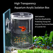 fish breeding isolation box, view 2 - MRSLM