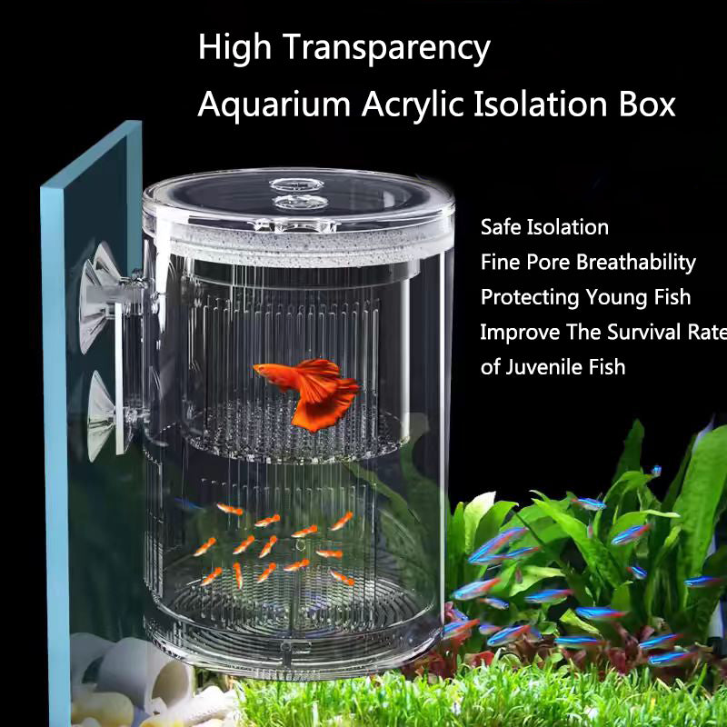 fish breeding isolation box, view 2 - MRSLM