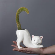 cat tail porcelain flower pot - MRSLM