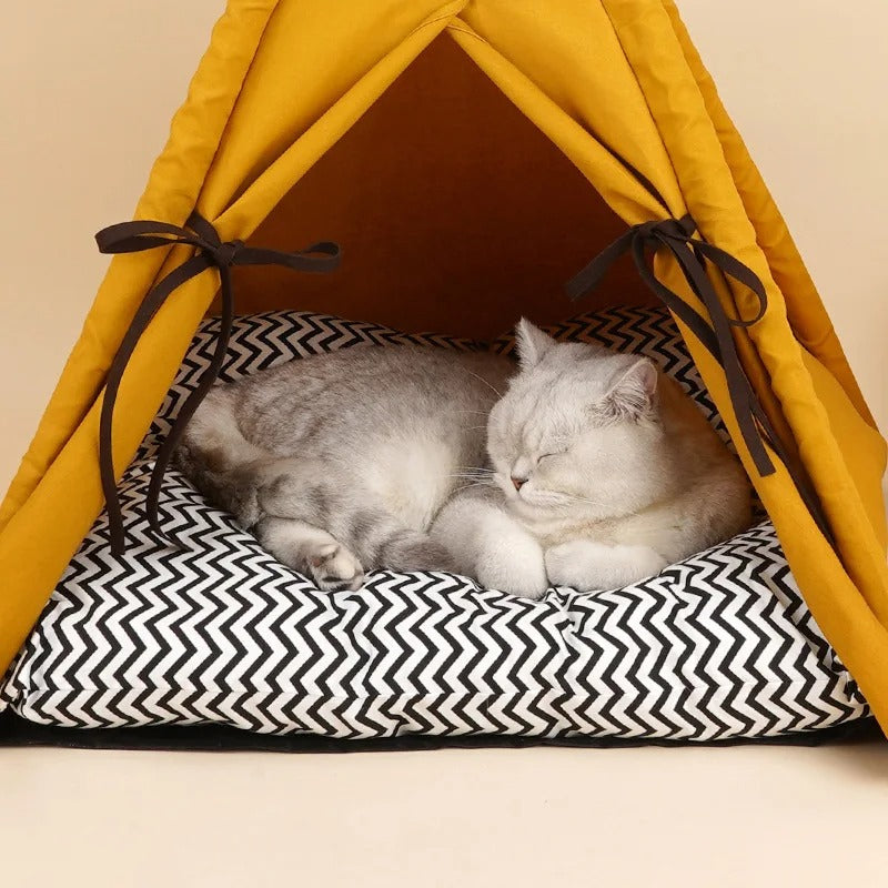 sunset yellow cat tent, view 5 - MRSLM
