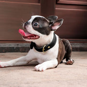 adjustable real leather dog collar, view 5 - MRSLM