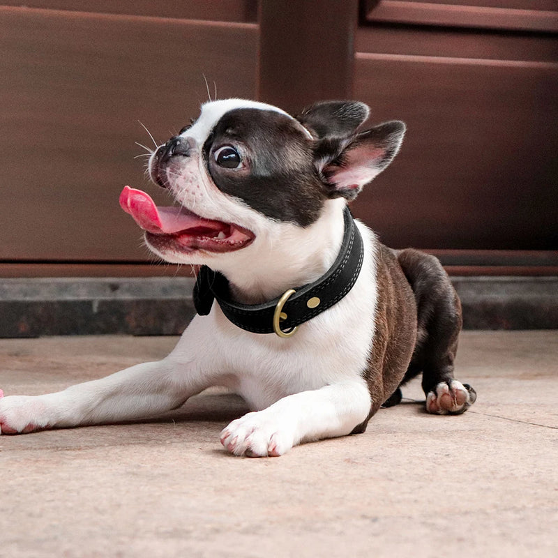 adjustable real leather dog collar, view 5 - MRSLM