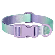 colorful print nylon dog collar, view 2 - MRSLM