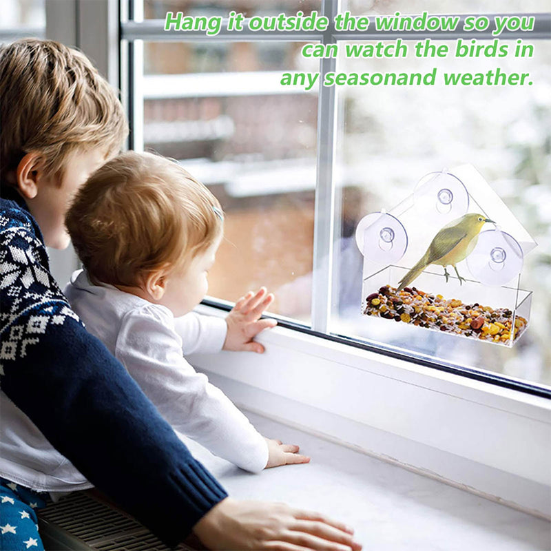 window bird feeder house, view 6 - MRSLM