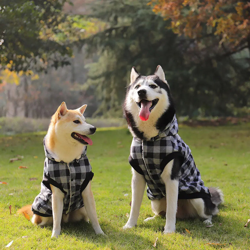 dog winter coat with detachable hood, view 5 - MRSLM