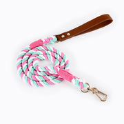 no-tangle braided dog leash, view 3 - MRSLM