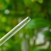 glass mushroom plant self-watering device, view 6 - MRSLM