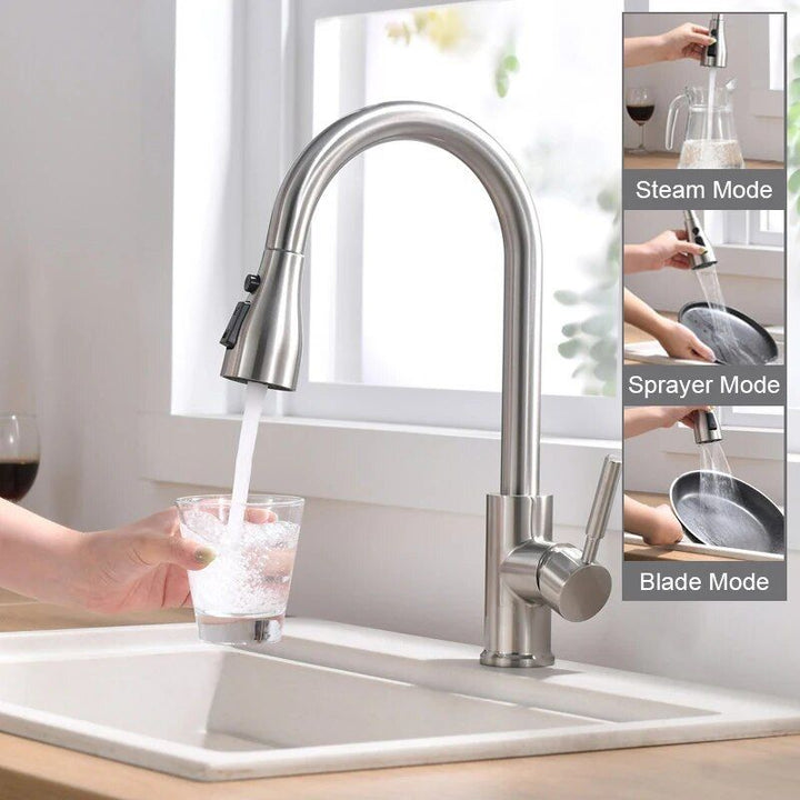 Kitchen Faucet with Pull-Out Sprayer