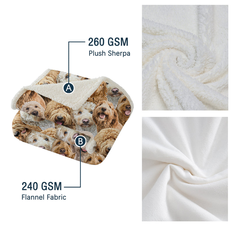 Cockapoo sherpa fleece throw blanket, view 5 - MRSLM