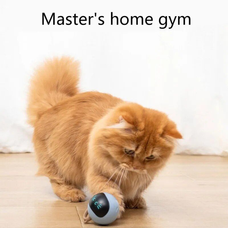 smart interactive led cat ball toy, view 8 - MRSLM