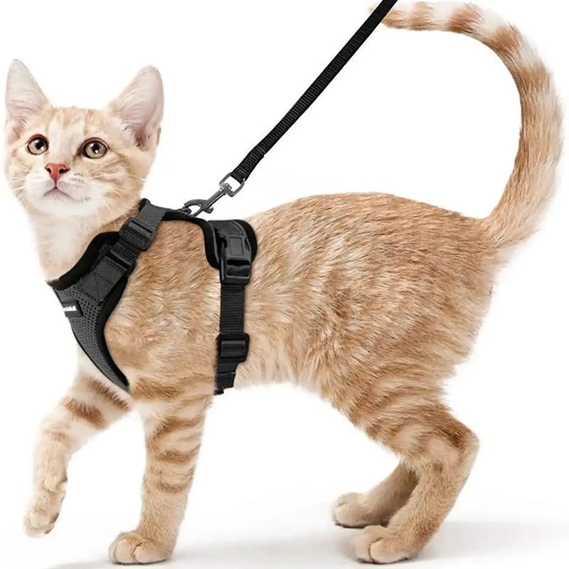 cat harness and leash, view 15 - MRSLM