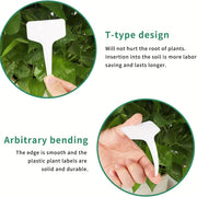 Biodegradable paper nursery pots and plant labels set, view 10 - MRSLM