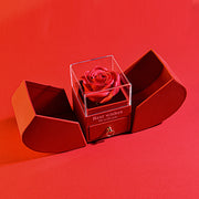 Preserved rose apple gift box with necklace - MRSLM