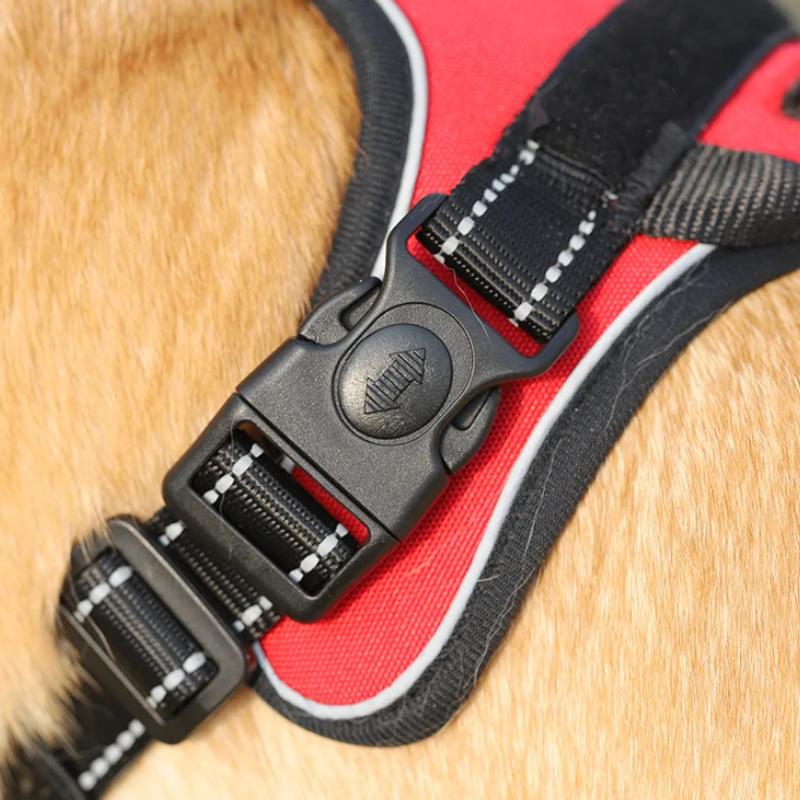 reflective dog harness and leash set, view 7 - MRSLM