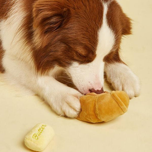 Food-shaped squeaky dog toy - MRSLM