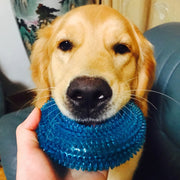 interactive squeak chew toy for all dog sizes, view 2 - MRSLM