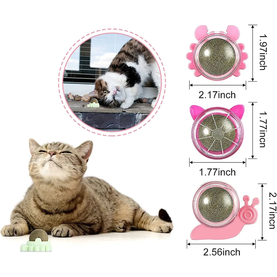 Catnip Wall Ball Toy for Cats