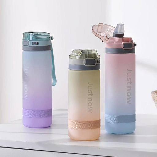 portable water bottle with straw - MRSLM