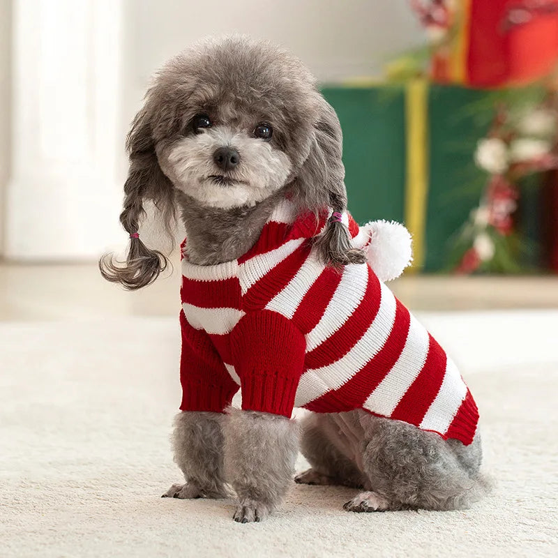 knitted striped dog sweater, view 6 - MRSLM