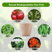 Biodegradable paper nursery pots and plant labels set, view 5 - MRSLM
