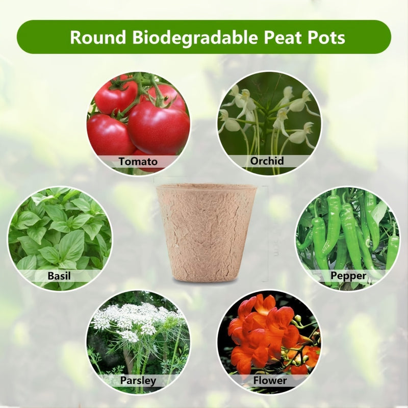 Biodegradable paper nursery pots and plant labels set, view 5 - MRSLM