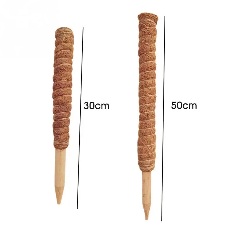 Coir moss stick for indoor plants, view 6 - MRSLM